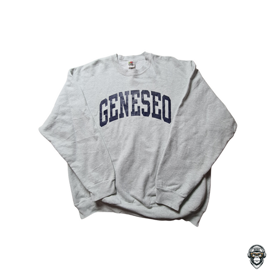 Vintage Fruit of the Loom Sweatshirt grau Geneseo College Print Größe L