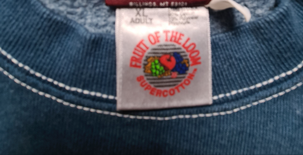 Fruit of the Loom Vintage Pullover mit Grand Teton Print (L)
