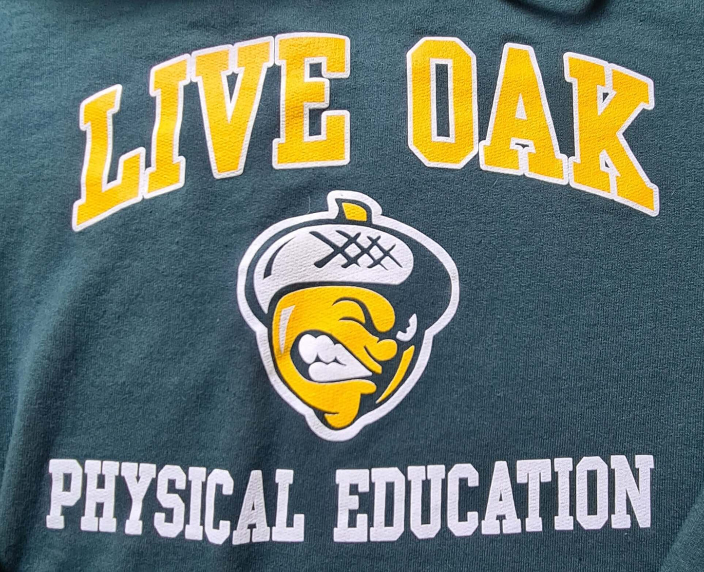 LIVE OAK Hoodie – Physical Education Print – Port & Company Core Fleece (L)