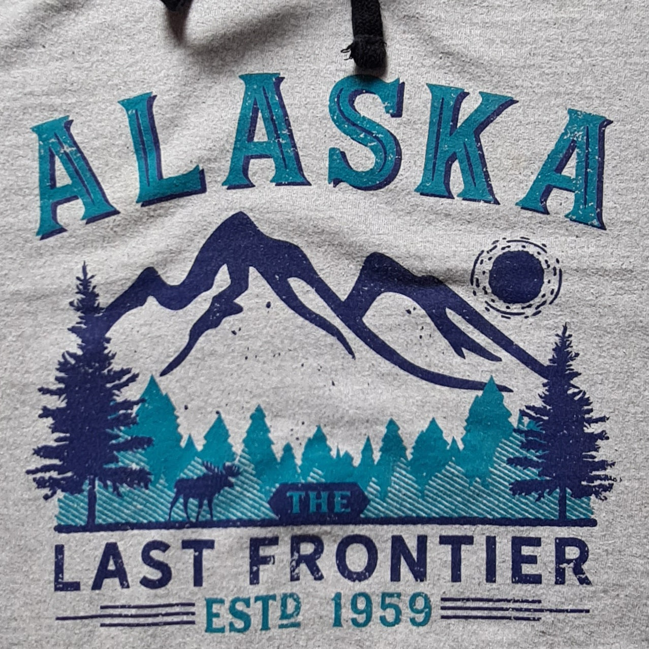Alaska Hoodie Grau – The Last Frontier (XL)