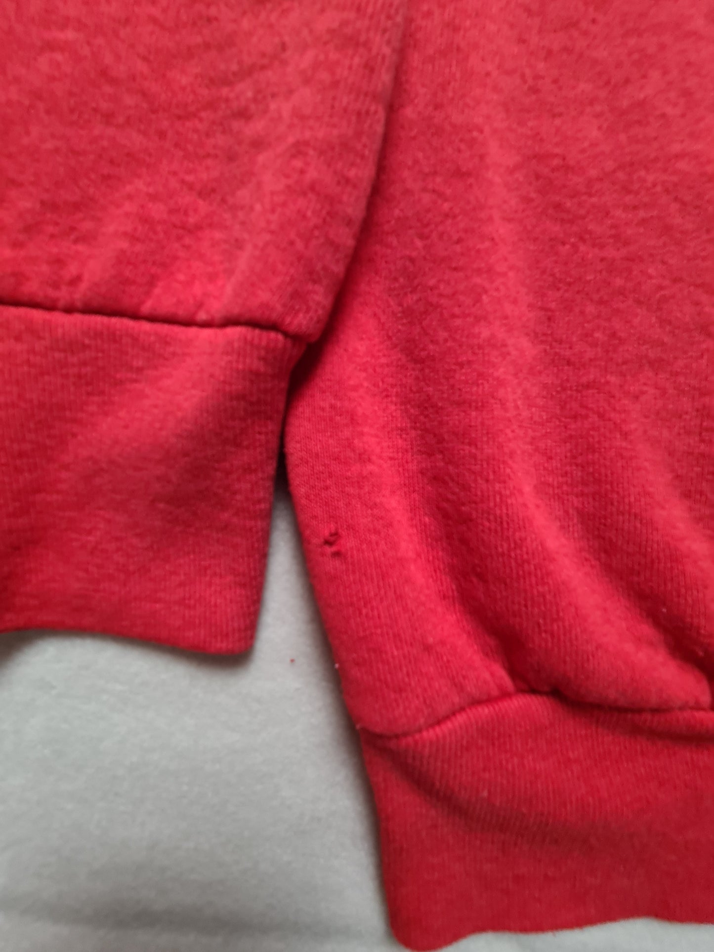 Fruit of the Loom Sweatshirt Rot – University Wisconsin Badgers (L)