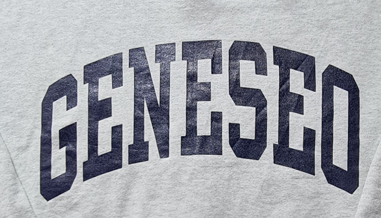 Fruit of the Loom Sweatshirt Grau – Geneseo College America (XXL)