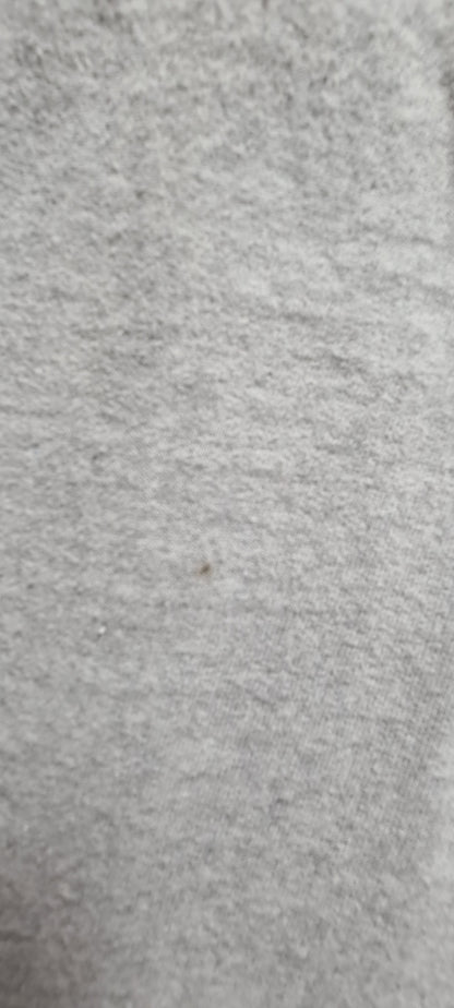 Alaska Hoodie Grau – The Last Frontier (XL)